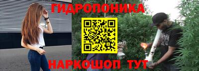 дживик Тара