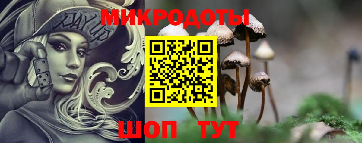 Псилоцибиновые грибы мухоморы  Галлюциногенные грибы Psilocybe  Камышлов  хочу   Вход с VPN 
